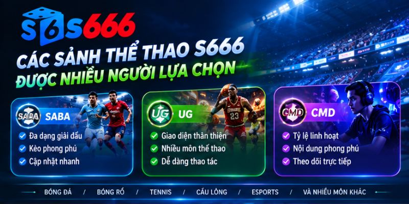 Các sảnh thể thao S666 được nhiều người lựa chọn